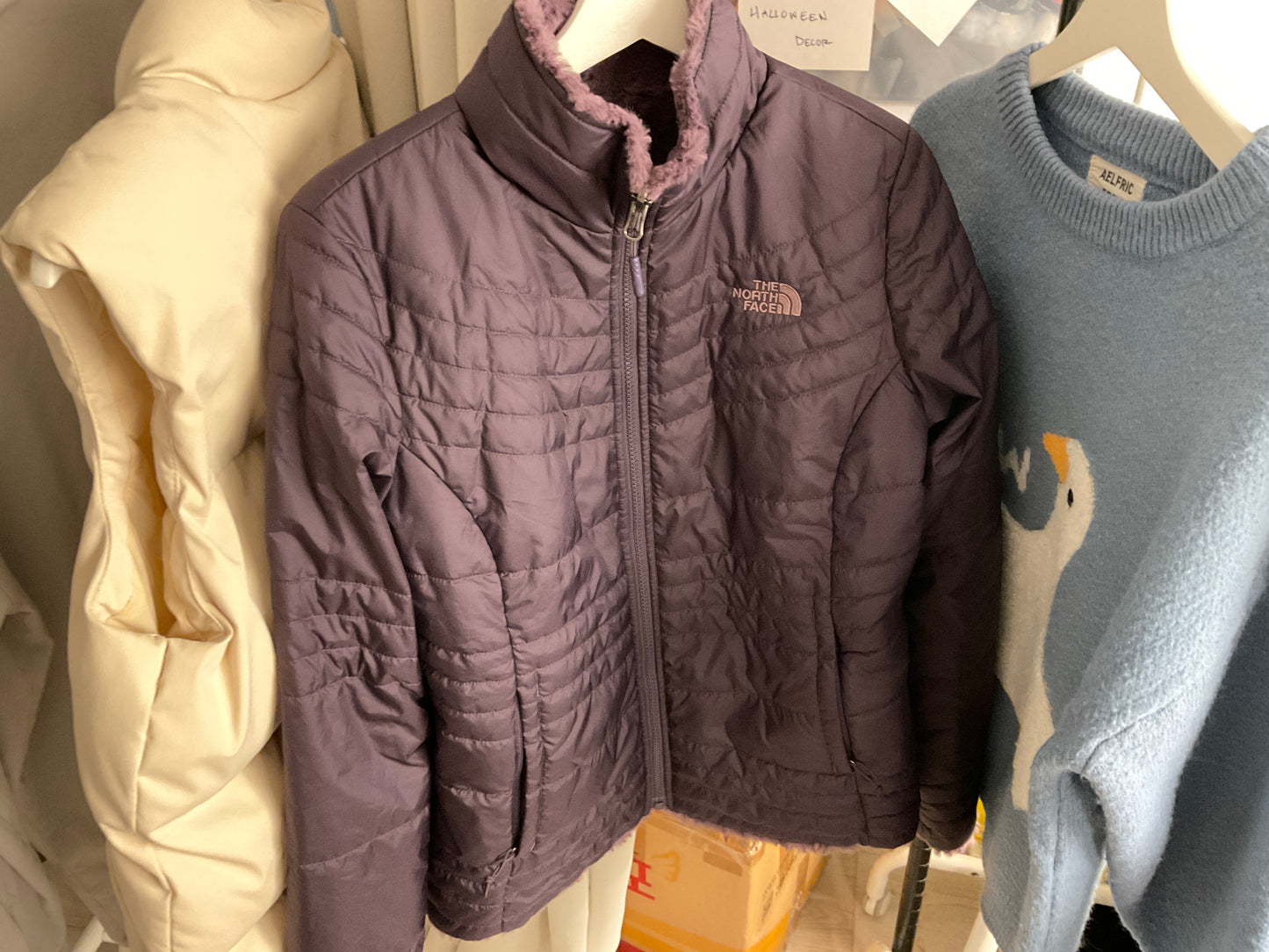 North Face Purple Jacket